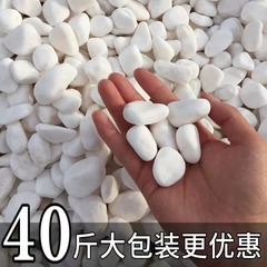 40斤の天然水洗い白石黒石砂利庭園庭園景観造景盆栽園芸装飾舗装
