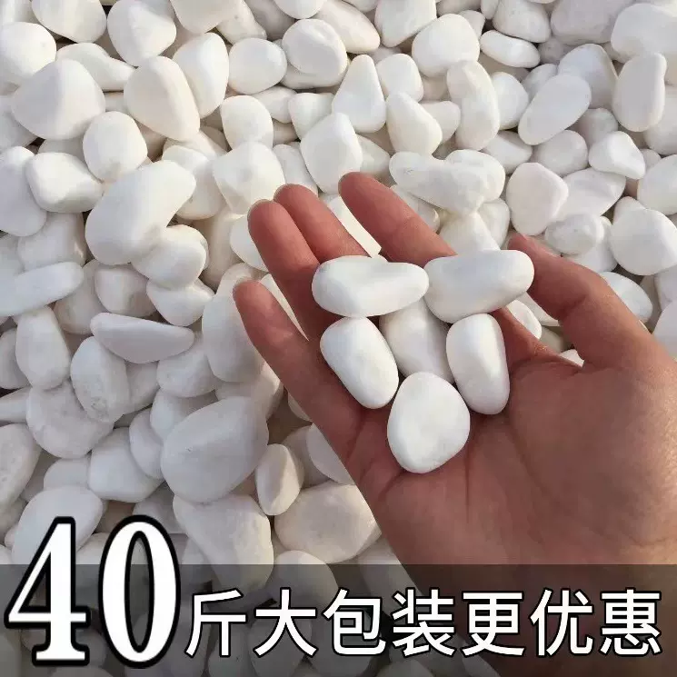 40斤水洗白石子黑石子砾石庭院花园景观造景盆载园艺石头鹅卵石