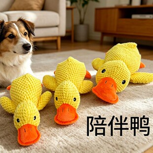 ������߰l���˽␞ë�q��ż�S��С����ĥ����ҧ������Ʒ