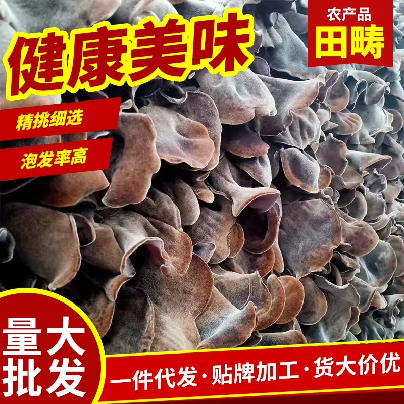 Tianchou гриб завод оптом сушеный сырой древесный гриб ингредиенты индустрии общественного питания Белая спина черный сухой гриб высокого качества хрустящий гриб