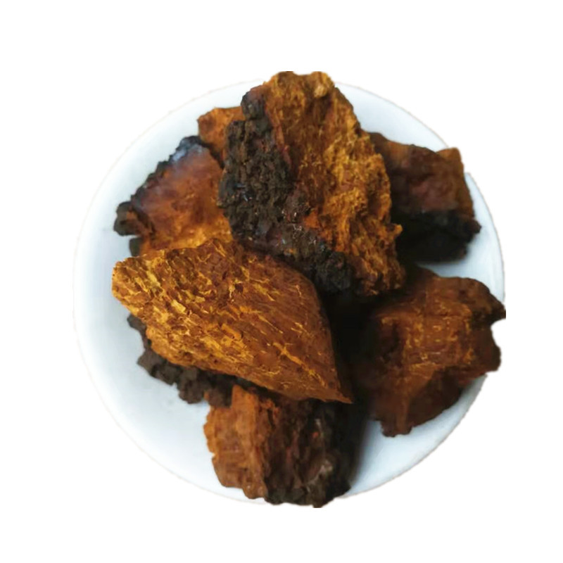 Chaga Mushroom Bulk Dried Sclerotia Huashurong Inonotus obliquus for Tea and Decoction 500g in use