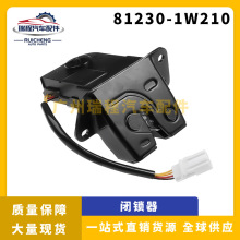 �m���������R�غ�����T�i������늙Cβ�w�i�C���l 81230-1W210