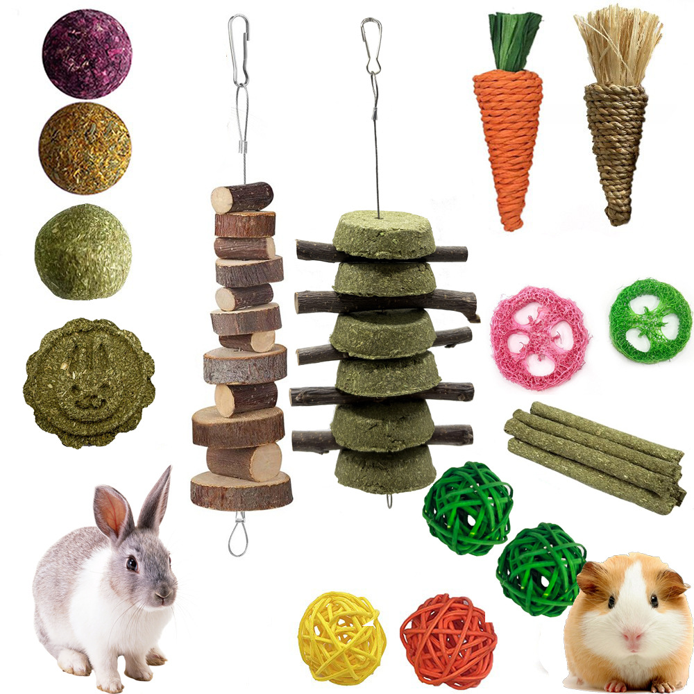 Transfronterizo mascota molar traje conejo hámster Totoro mordedura aliviar juguete relleno combinación pequeña mascota juego suministros venta al por mayor