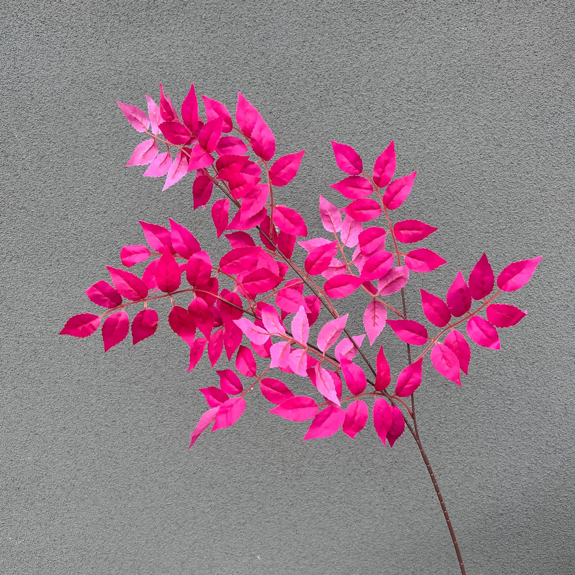 장미 붉은 얼음 심장 잎