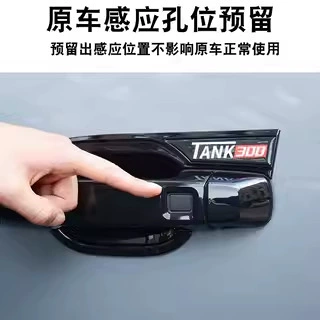21-25 Weipai Tank 300: Portal Wrist