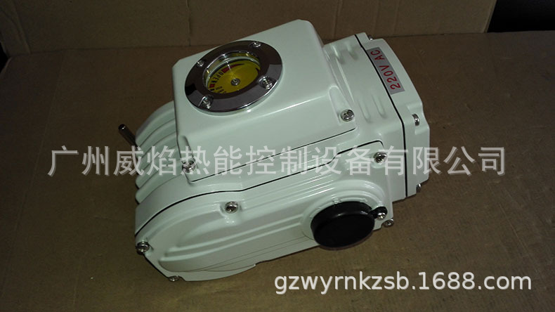 【实物】WT50-30T100R执行器威焰WY