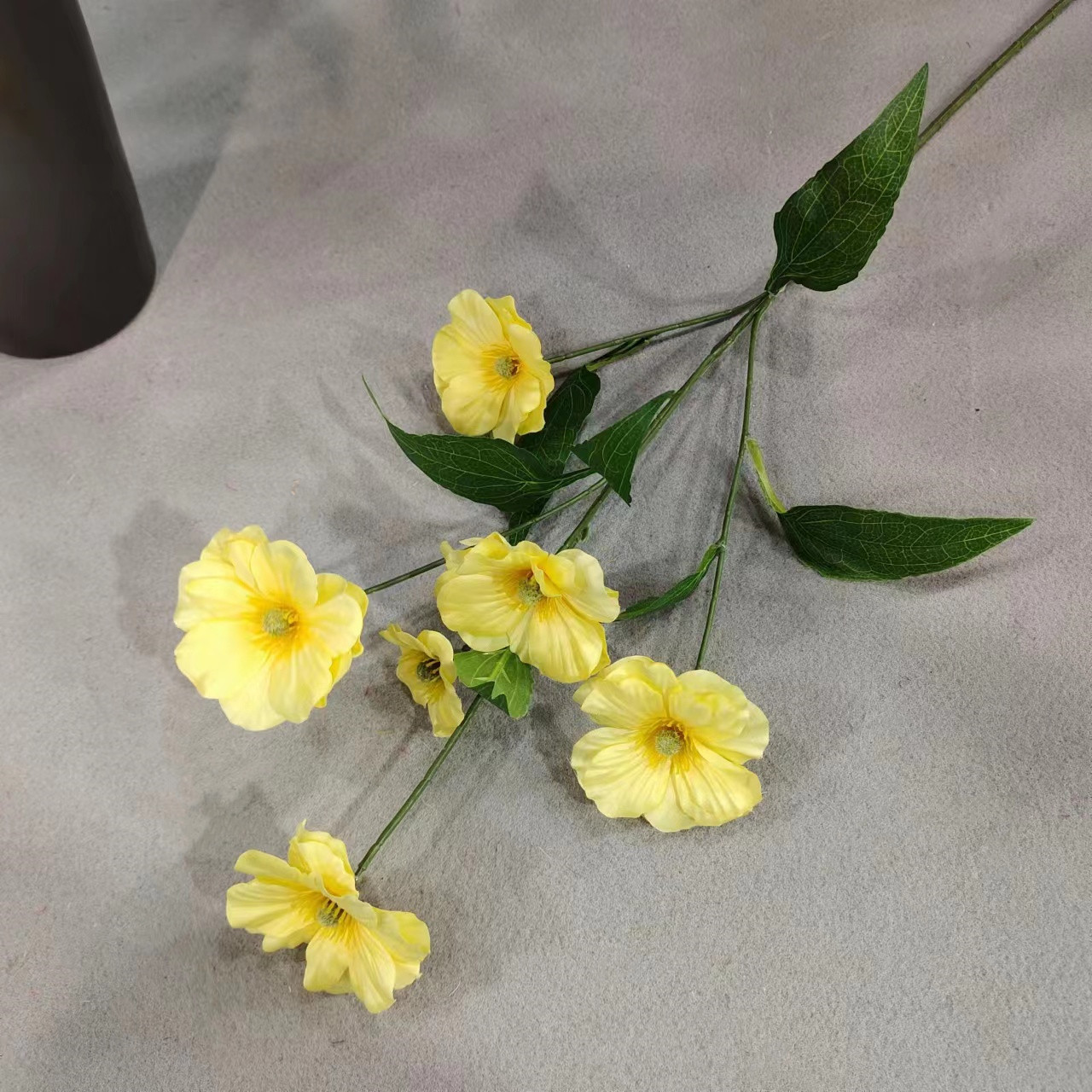 Butterfly flower yellow