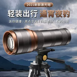 手电筒;头灯头戴电筒;钓鱼灯