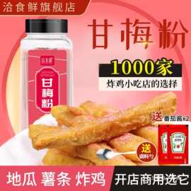 甘梅粉梅子粉鸡排地瓜薯条撒粉商用500g台湾省甘梅撒料干梅粉