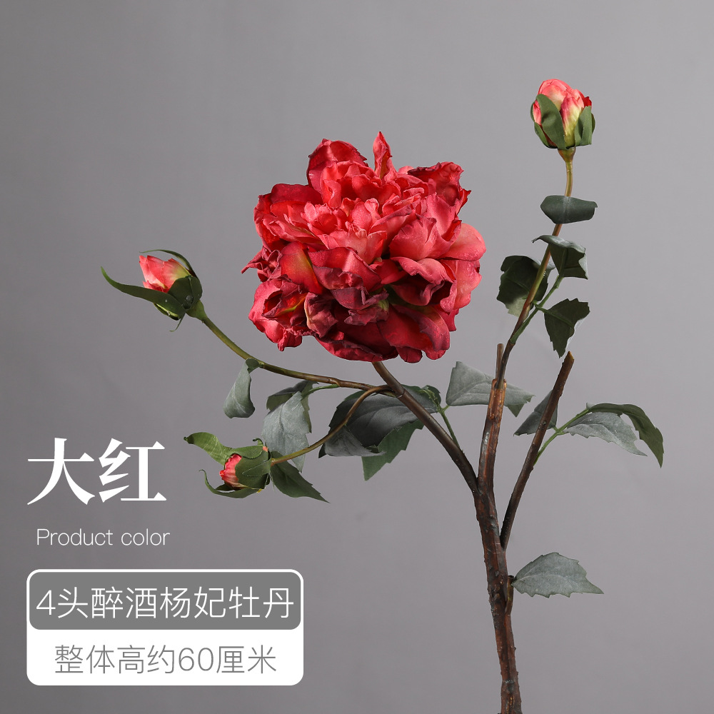 4개의 술취한 양페이 모란 - 밝은 빨간색