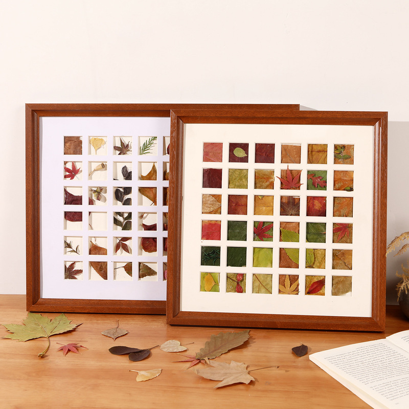 Fall Leaves Framing DIY Autumn Collection 36/48 Grid Autumn Leaf Collection Handmade Decorative Leaf Specimen Photo Frame Fall Leaves Framing DIY Autumn Collection 36/48 Grid Autumn Leaf Collection Handmade Decorative Leaf Specimen Photo Frame