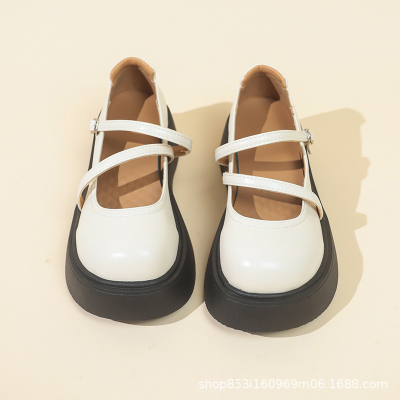 2025022409159269750736w800h800