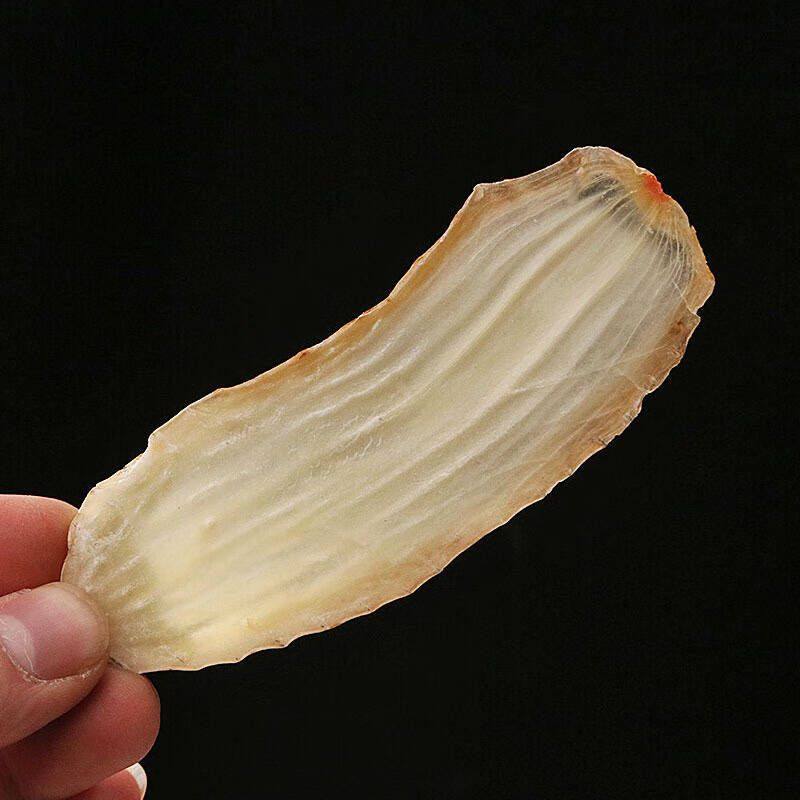 Dried Gastrodia Slices Tian Ma 500g Yunnan Gastrodia elata Root Decoction Herb specifications
