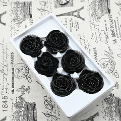 幻花永生花A級香頌玫瑰花材雲南乾花熊批發玻璃罩diy香頌材料真花