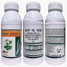 �_�M��11%���׿��׾��� ���ݲ����粡��������Ʒ�rș������������