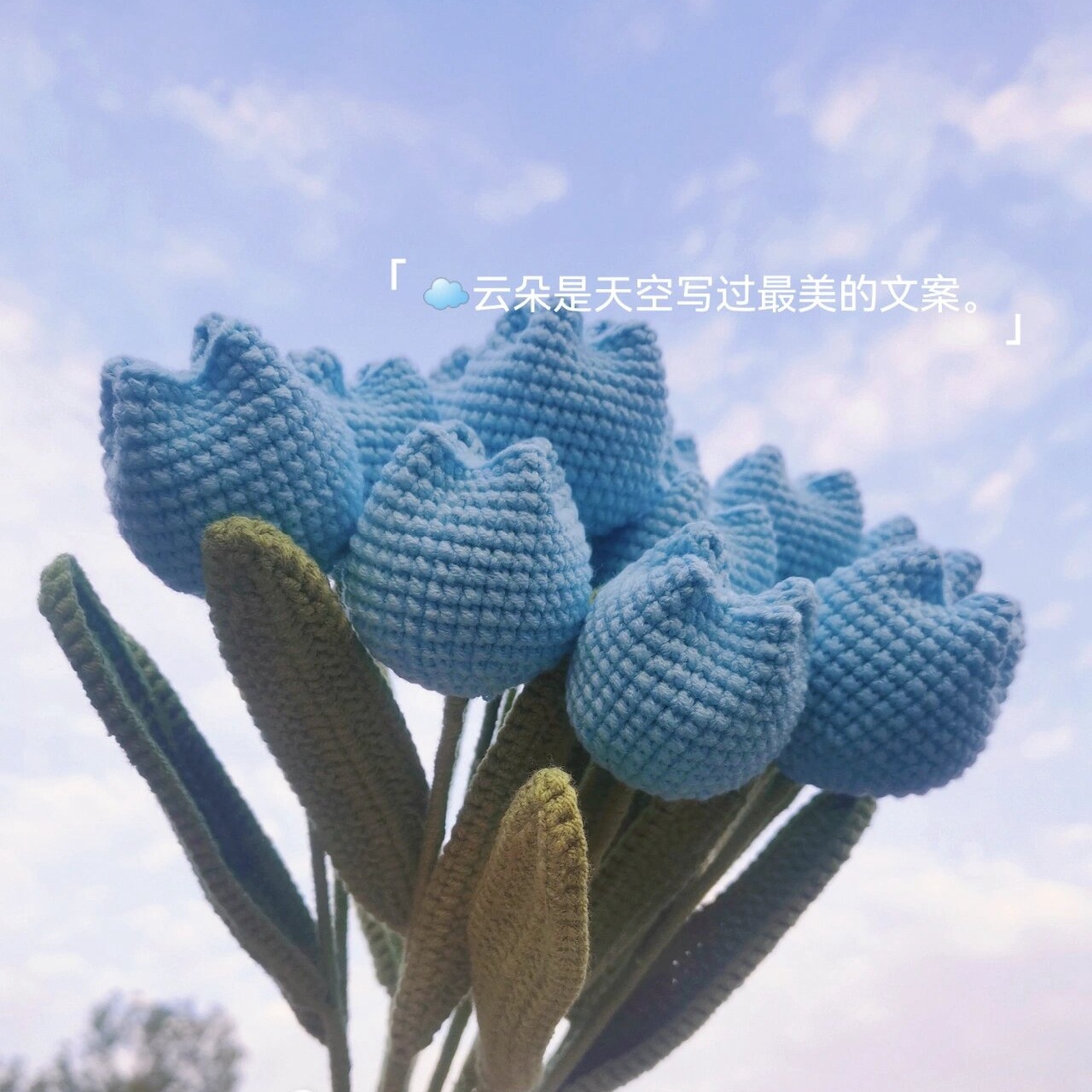 [완성된 뚱뚱한 튤립] 블루 1 가지