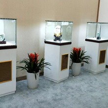 �����錚չʾ��������Ʒ�������^��Й�������̨��������Ŷ�չ�[