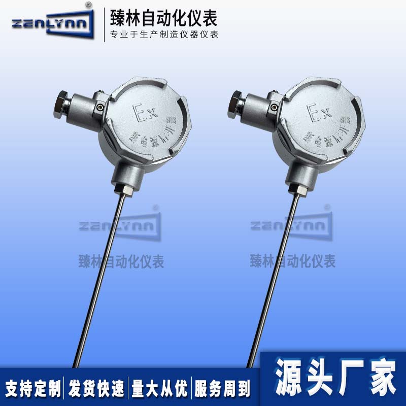 现货热卖防爆铠装热电阻WZPK-145测温精准支持定zhi热电阻