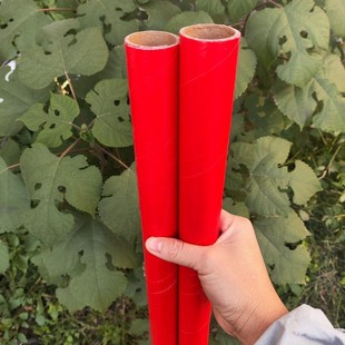 �x���S�Ҵ�tɫϲ�c�b���Ӳ�����֮�Ͱ�A�κ���Ͳ���bţƤ����Ͳ