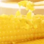 新疆新鲜有机真空糯玉米