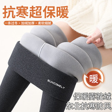 东北抗寒加绒加厚打底裤女冬季外穿大码羊羔绒高腰不起球保暖棉裤