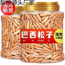 新货巴西松子500g特大颗粒开口坚果手剥长粒松子薄壳批发150g含罐