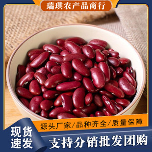 �����ϼtܿ���t��������خa��t����؛�r���ԷN�s�Z�������I��