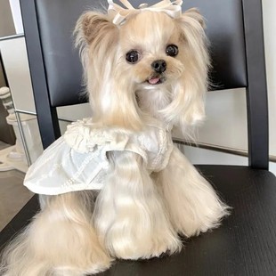 ���ﹷ������·��ɐ�ľ��߅����ȹ��С�͌����R����˹����̩��