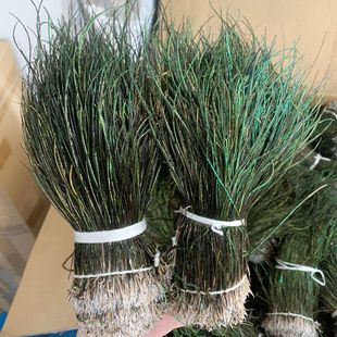 �S�ҬF؛��ȸ��ë�z15-20cmdiy�Ʒ����wω�hβ�z���b�o�Ͽ�ȸë