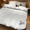 Hilton velvet Winter quilt thickening Double hotel spring and autumn Quilts core student dormitory Quilt 86 10 Jin