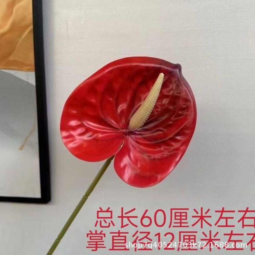 색상 번호 19