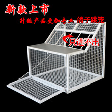 鸽子跳笼 信鸽赛鸽用品用具 鸽棚鸽舍进口 只进不出跳笼 放飞笼门