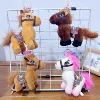 Pony (single price}