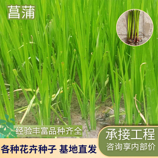 �S���ѻ������l����ˮ�໨�܃���ˮ�|ˮ��ֲ��Gֲ�G���S������