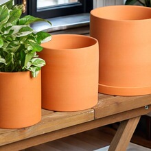 �o�׼t���؟��͜�����ֱͲ����͸����ˮ�G�}�r������Nֲ�A���մ�