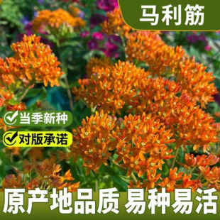 �R����N�����ļ��̨�G���S�������P��������ͥԺ���ԷN�ӻ���