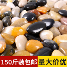 150斤鹅卵石小石头五彩批发庭院铺垫鱼缸造景雨花石阳台石头铺地
