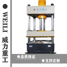 威力重工100吨双色鱼饵压块成型液压机 全自动鱼饵粉末成型油压机