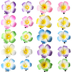 冠洋の甘い真珠の卵の花のヘアピンのタイ族の祝日の髪飾りのビーチの休暇の花の側は髪の髪飾りを挟みます。