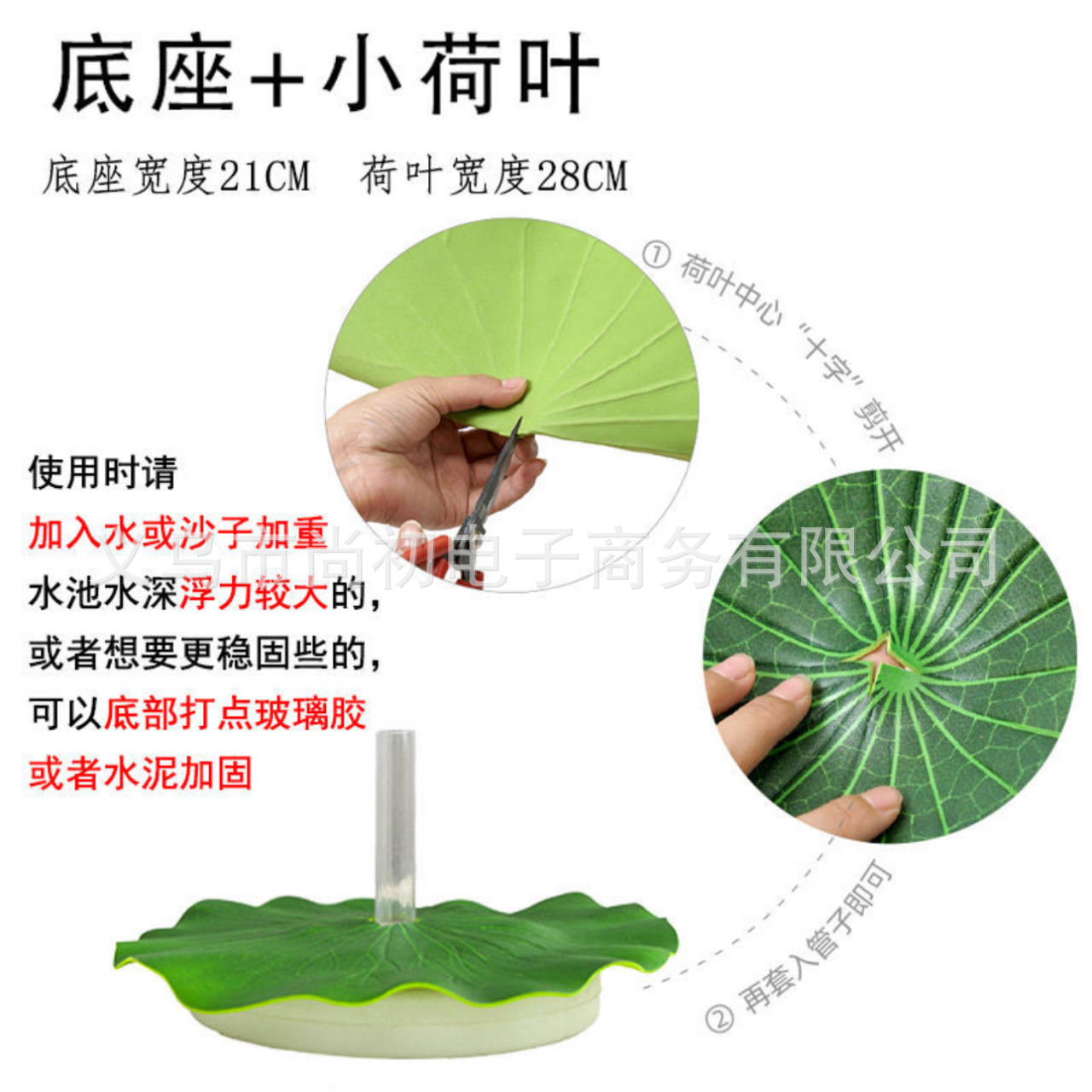 Pequeña hoja de loto sentada