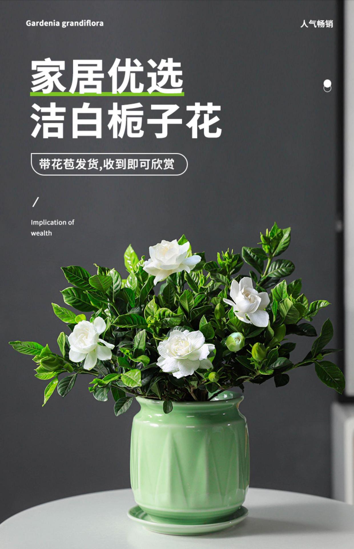 gm6WifKnzdTvlDvRUnfQcz4JJhfNv3hYGFxd