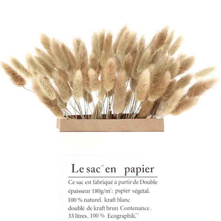 QQ图片20210423191918