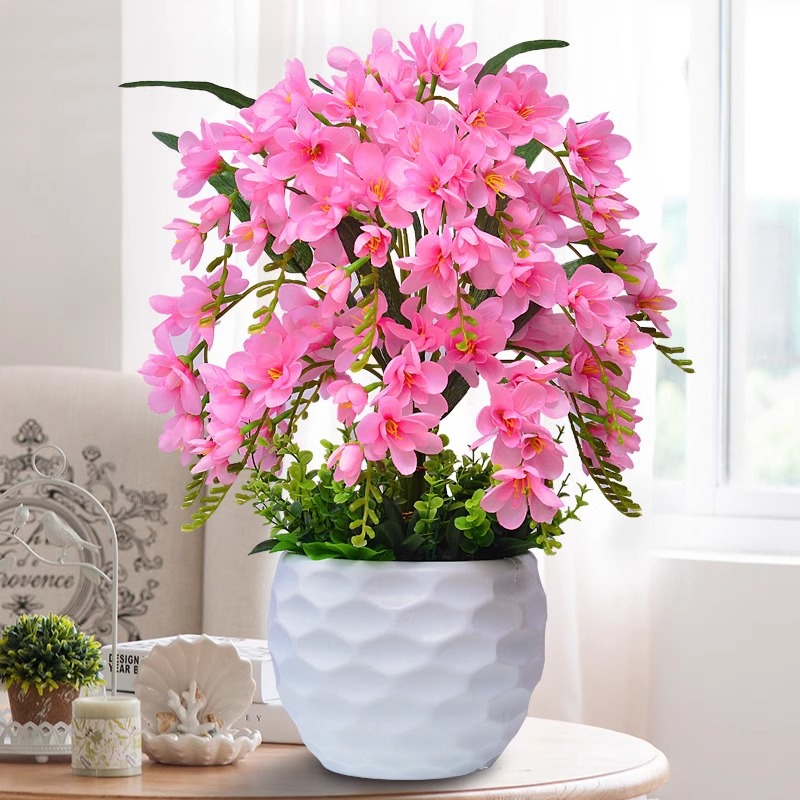 핑크 스노우 오키드-물 분재