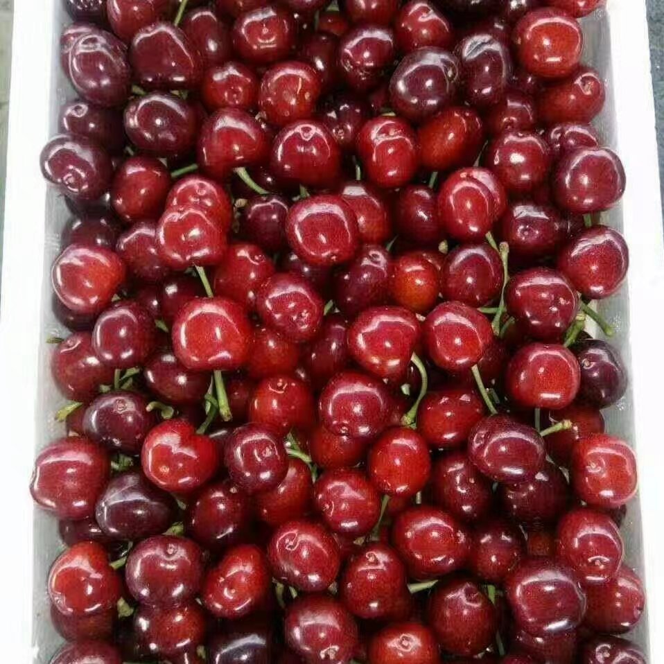 62c6f53680ecc36b6095fe78b8a1fd