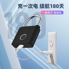 Smart Finger Print Lock Direct Manufacturer Sale Outdoor Waterproof Password Lock Warehouse Small Lock Head Anti-Theft Electronic Lock