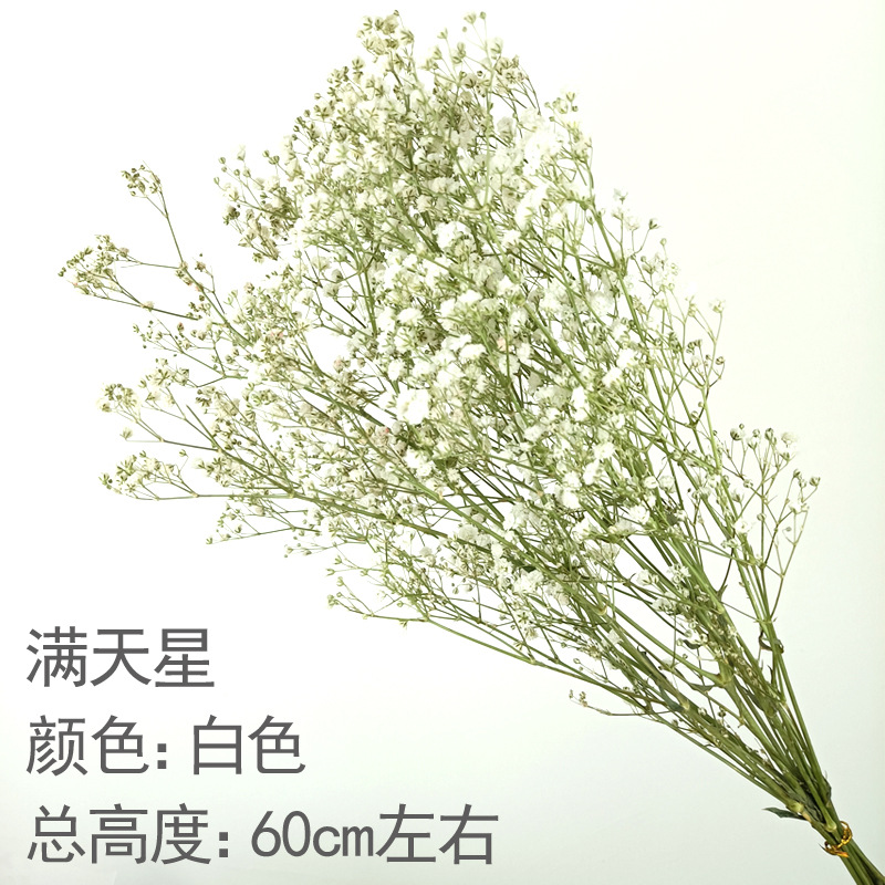 유백색 아기의 숨결 꽃다발