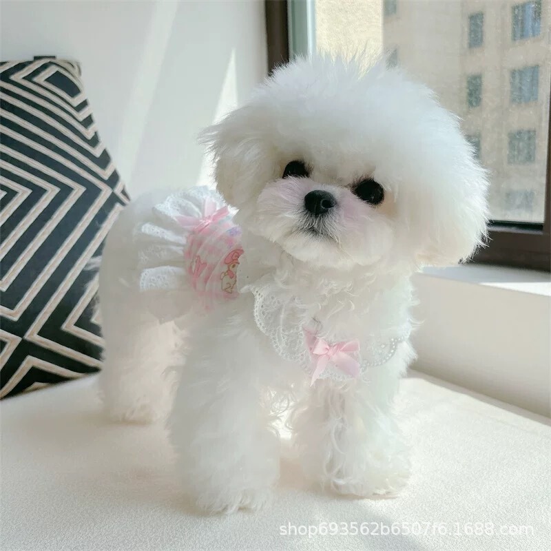 Pet Cat Dog Teddy Beaumi Bear Clothes Spring and Summer Home Clothes Lace Plaid Thin Bow Princess Dress