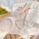 Factory Direct Summer Outdoor Sunscreen Arm Set Women's Loose plus size Lace Solid Color Fairy Sunshade Sleeve