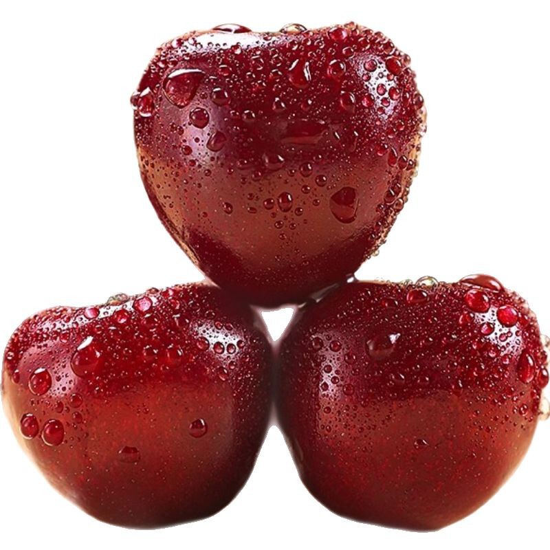 American Cherries Fresh Fruit Seasonal Whole Box Free Shipping 2/3/ 2.5kg Gift Box for Pregnant Women Imported Large Cherries J3J4J American Cherries Fresh Fruit Seasonal Whole Box Free Shipping 2/3/ 2.5kg Gift Box for Pregnant Women Imported Large Cherries J3J4J