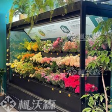 商场超市立式花艺售卖柜柯沃森开放式鲜花保鲜柜大容量鲜花展示柜